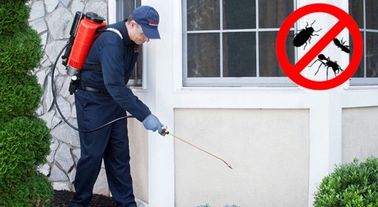 Beyşehir Böcek ve Haşere İlaçlama böcek ilaçlama ve haşere kontrolü — ilaclama-tr.com